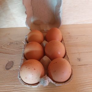 6 œufs de poule plein air