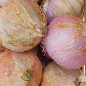 1kg d'oignons doux