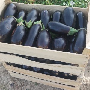 1kg d'aubergines