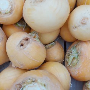 500g de navets boule d'or