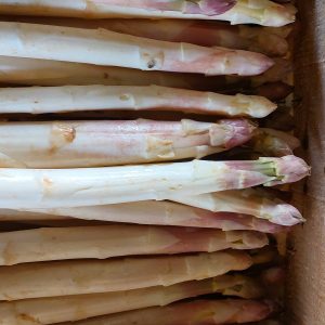 Asperges blanches 500g