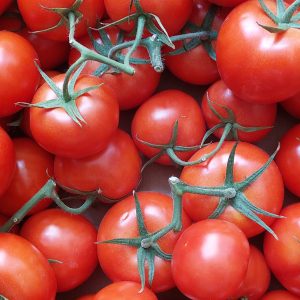 1kg tomates grappes rondes