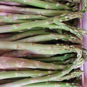 Asperges vertes 500g