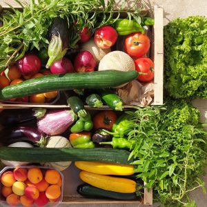 Panier de fruits et légumes