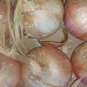 5kg d'oignons doux Vers