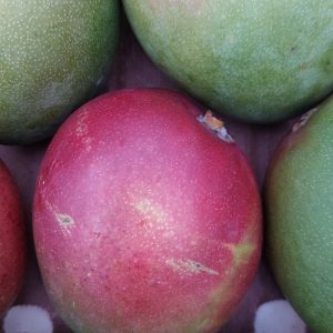 Mangue pièces