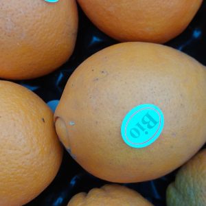 orange bio 1kg