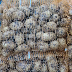 Pommes de terre 10kg