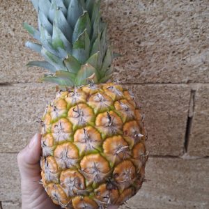 Ananas